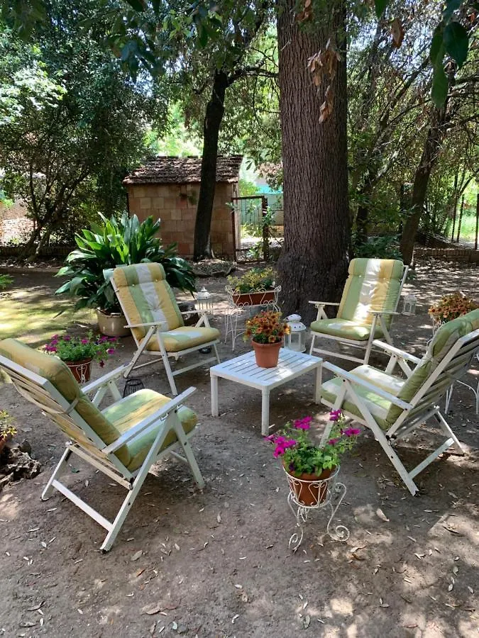 Super Attico Della Brigata Spendereccia! Apartment Monteroni d'Arbia